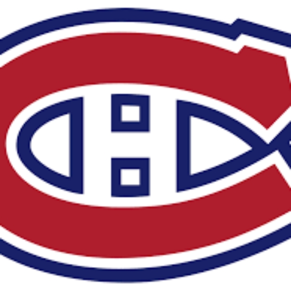 Cayden Primeau Goalie tender #30 Custom made Figure , Price nego - Picture 7 of 7